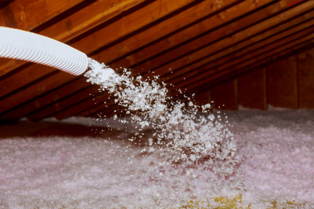 Best Insulation Materials and Products in Kathleen, FL