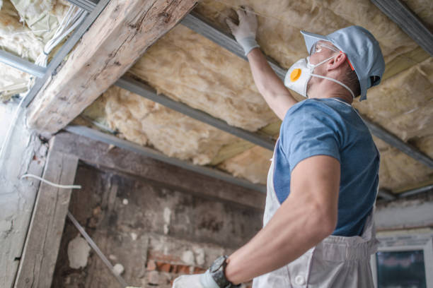 Best Insulation for Specific Applications in Kathleen, FL