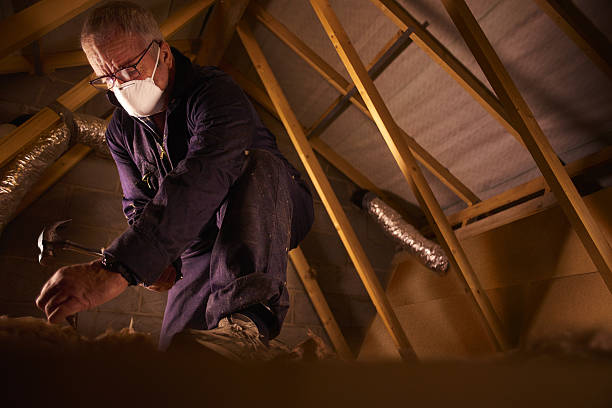 Best Specialty Insulation in Kathleen, FL